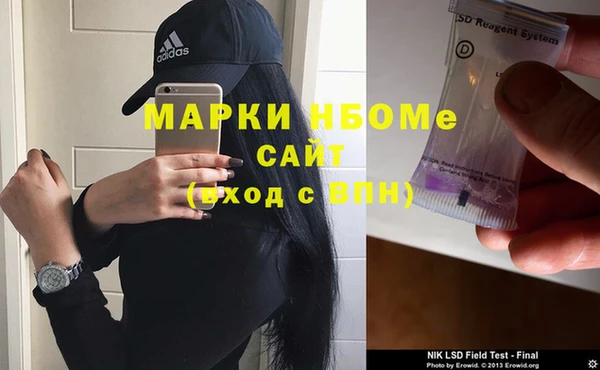 прущие грибы Алзамай