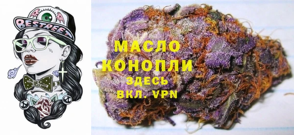 прущие грибы Алзамай