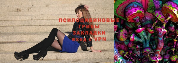 прущие грибы Алзамай