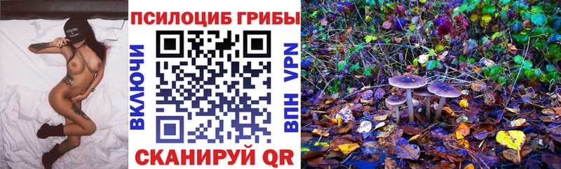 Галлюциногенные грибы MAGIC MUSHROOMS закладка Клин